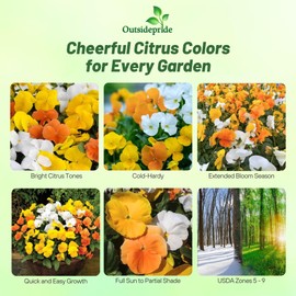 Outsidepride Panola Citrus Mix Viola Pansy Seeds for Planting - 50 Pcs. Biennial, Cold-Hardy & Pollinator Friendly Flowers with Fragrant Blooms for Garden Beds, Borders & Container Displays