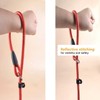 AIMALL Dog Training Correction Leash Lead Cesar Puppy Pets Millan
