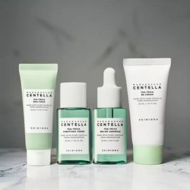 SKIN1004 스킨천사 마다가스카르 센텔라 티트리카 트래블 4종 세트 Skin1004 Skin Angel Madagascar Centella Tritica Travel 4 Piece Set
