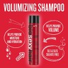 SEXYHAIR Big Volumizing Shampoo, 10.1 fl. oz.