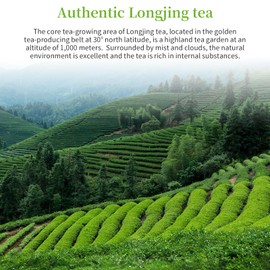 XIXICHA Longjing Tea Dragon Well Green Tea Loose Leaf Pre-qingming Longjing tea individual packing No additives All-natural 120g/4.23oz （20 bags）明前龙井袋泡 独立包装茶叶