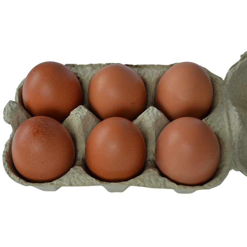 Supa Egg Boxes, 24-Piece, Traditional Fibre Egg Box, 100% Recyclable