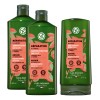 Yves Rocher Kit Shampoo Y Acondicionador Reparación Capilar