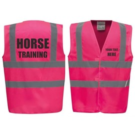 Horse Training Horse Riding Equestrian Premium Pink Hi Vis Safety Vest Reflective Waistcoat Road Safety High Visibility, Can Personalise. (Pink, XLarge)