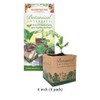Recycled Paper Pots For Seedlings - Size: 3 inch Paper