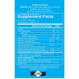 4 Your Wellness Ashwagandha Gummies Mixed Berry KSM-66, Lion's Mane, Vitamin-D, Non-GMO, Gluten-Free, Gelatin Free & Kosher | for Daily Focus Boost (120 Count (Pack of 2))