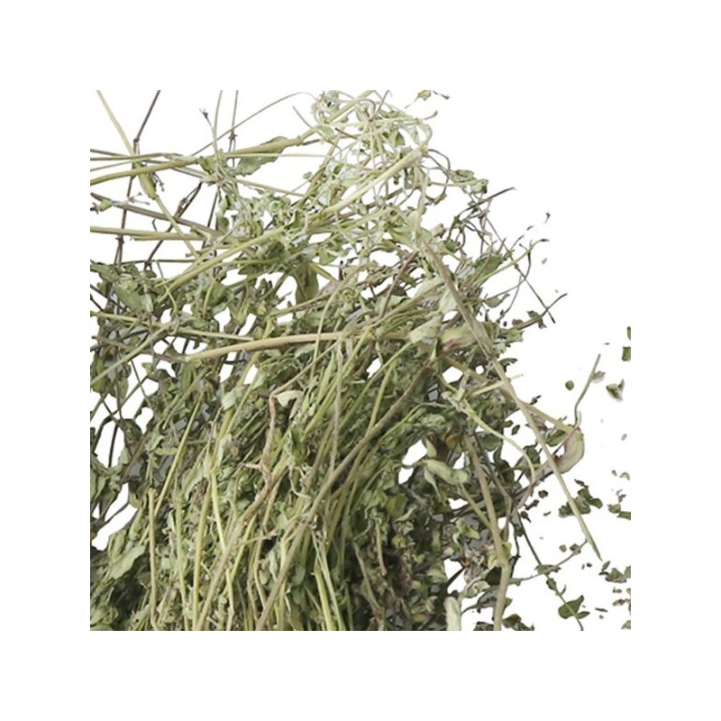 Donguihanjae 동의한재 국산 햇 비단풀 땅빈대 300g Korean Domestic Fresh