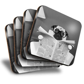 Destination Vinyl ltd Great Coasters (Set of 4) Square - BW - ny Pug Puppy Dog Reading Paper Drink Glossy Coasters/Tabletop Protection for Any Table Type #36692