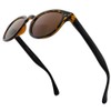 VITENZI - Gafas de sol bifocales vintage para leer bajo