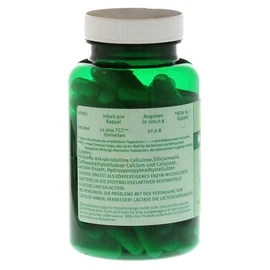 Lactase 12,000 FCC Capsules