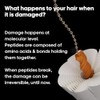 L’Oréal Professionnel Absolut Repair Molecular Sulphate Free Shampoo, For Extremely
