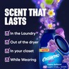 Ensueño Max Liquid Fabric Softener - Violet Bouquet Scent -
