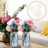 Classicseali 3pcs Flower Grid for Vase,4/5/6 in Floral Grid for