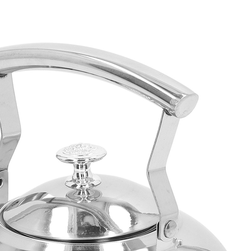 Stainless Steel Teapot Tea Kettle with Removable Filter High Temperature