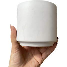 Pothos N'Joy Live Plant - Epipremnum aureum 'n'joy' - Variegated Devil's Ivy - Air Purifying Houseplant - Perfect Live Plant Gift - CA Seller (4" White Cyclinder Pot)