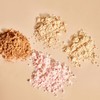 Sisley [Department Store] [Sisley] Phyto-Teint Teintre Libre 12g (Powder) -