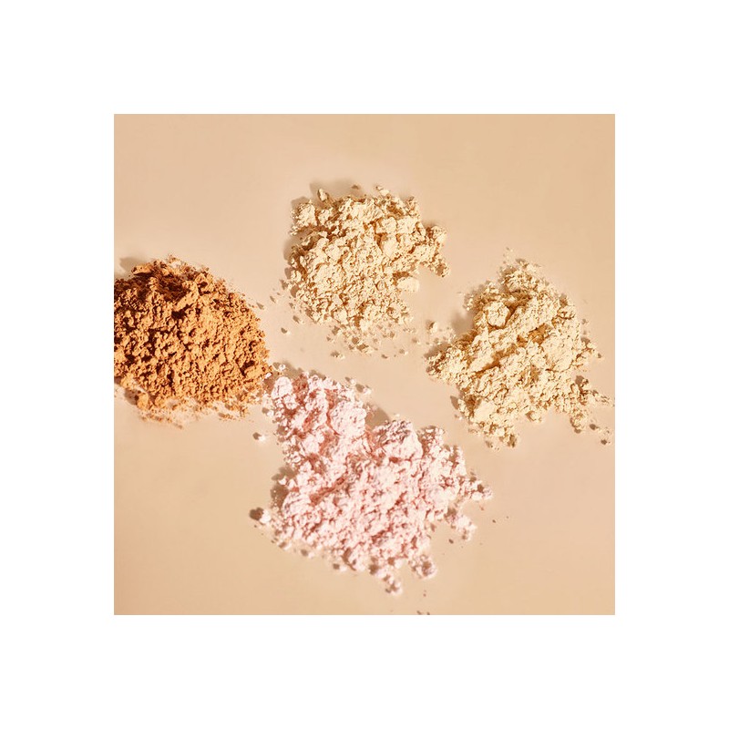 Sisley [Department Store] [Sisley] Phyto-Teint Teintre Libre 12g (Powder) -