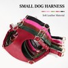 Didog No Pull Dog Harness for Small Dogs, Soft &