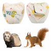 2PCS Small Pet Diapers,Guinea Pig Diapers,Reusable Squirrel Diapers,Washable,Specially Designed for