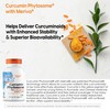 Doctor's BEST Doctor's Best Curcumin Phytosome with Meriva, Non-GMO, Vegan, Gluten Free, Soy Free, Joint Support, 500 mg 180 Veggie Caps (DRB-00230) (Packing May Vary)
