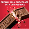 CRUNCH, Bulk 12 Pack, Milk Chocolate and Crisped Rice, Full