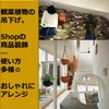 NOELAMOUR Ceiling Hooks, Hanging Hooks, Stainless Steel Hooks, Fixed, Screwed,