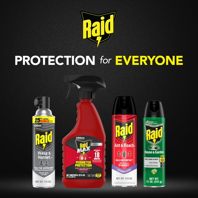 Raid Wasp & Hornet Killer Spray, Bug Killer Kills the