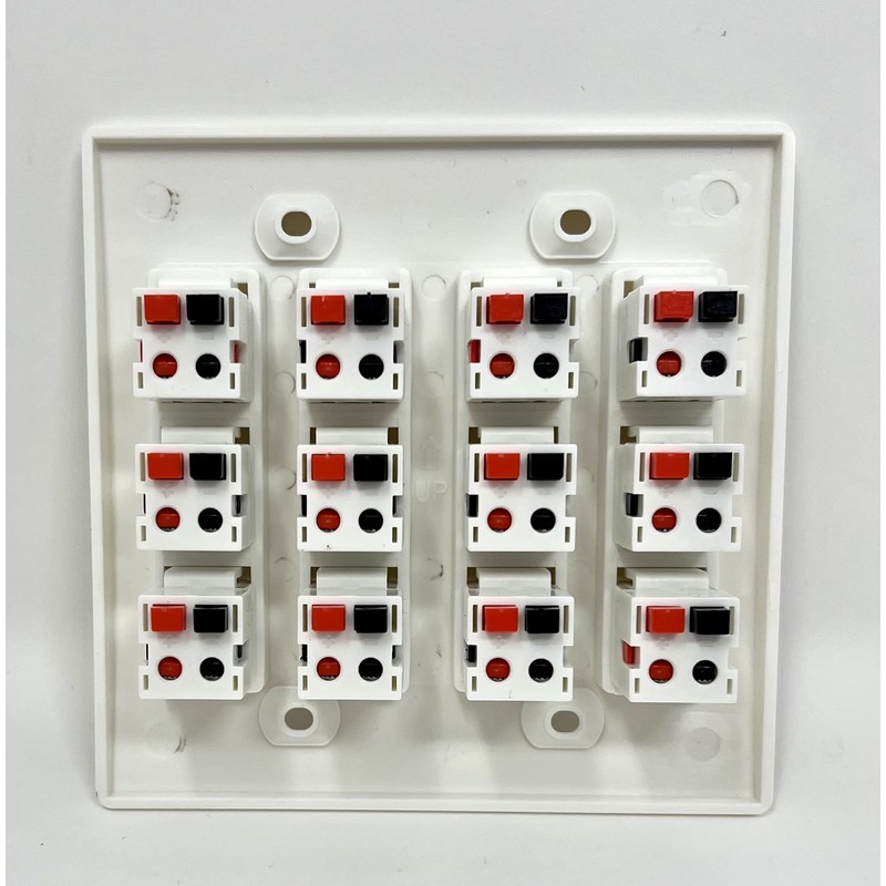 RiteAV 12 Port Speaker Jack Dual Gang Wall Plate for