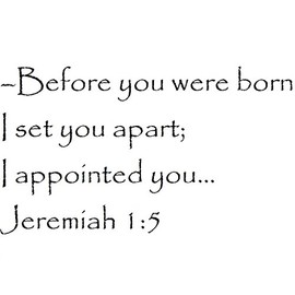 Tapestry Of Truth - Jeremiah 1:5 - TOT13276 - Wall and Home Scripture, Lettering, Quotes, Images, Stickers, Decals, Art, and More! - Before You were Born I Set You Apart; I Appointed You...
