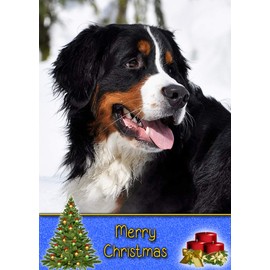 Bernese Mountain Dog Christmas Card 'Merry Christmas' - Special Animal Xmas Card for Him Her from Pets Kids