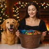 BREKX Metal Indestructible Dog Toy Bin - Storage Bin with