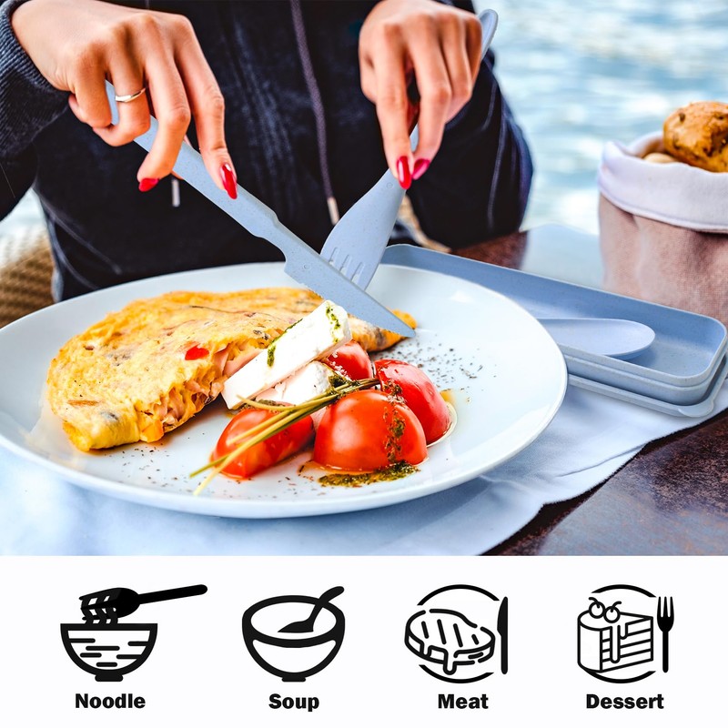 Travel Cutlery Set with Case Plastic Reusable Cutlery Set for