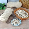 Zzooi 1 pcs Big Size Fake Peanut Large Size Artificial