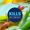 BioAdvanced 24 Hour Lawn Insect & Fire Ant Killer, Granules,