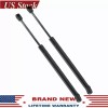 AUTO-NEW 2x Front Left & Right Hood Lift Support Shock