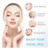 Fabuday Cepillo Eléctrico Giratorio De Limpieza Facial 7 En 1.