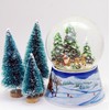 Nostalgia Snow Globe Romantic Carriage Ride Sleigh Ride with Christmas