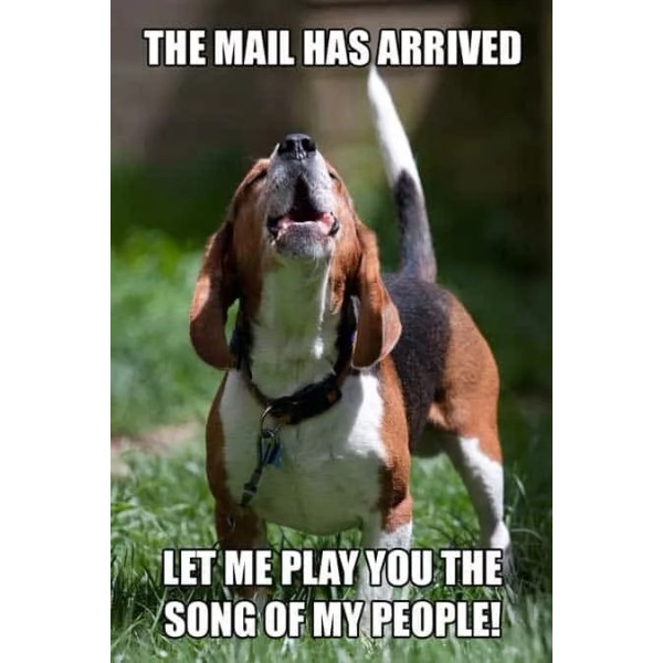 Funny Beagle refrigerator magnet 3 1/2 x 4 1/2 "