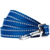 Blueberry Pet Essentials Reflective Dog Collar & Leash Set, Adjustable