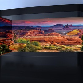 BATRUG 30X12IN Desert Loess Rock Cactus Oasis Reptile Habitat Background, Natural Sunset Desert Themed Terrarium Background, Aquarium Background with 10 EVA Double-Sided Tape