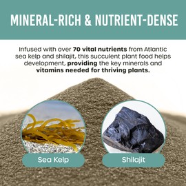 HOLISTIC BIN Cactus & Succulent Fertilizer – Premium Plant Food with Atlantic Sea Kelp & Shilajit – Slow-Release, Fertilizer for Indoor Desert Plants & Potted Succulents–50 Gallon Supply