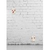 WIRESTER 1-Gang Duplex Outlet Cover Wall Plate/Switch Plate - Apples