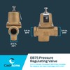 Cash Acme 3/4 Inch EB75 FPT x FPT Pressure Regulator