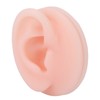 Professional Soft Silicone Ear Model Fake Ear Display Sample Ear