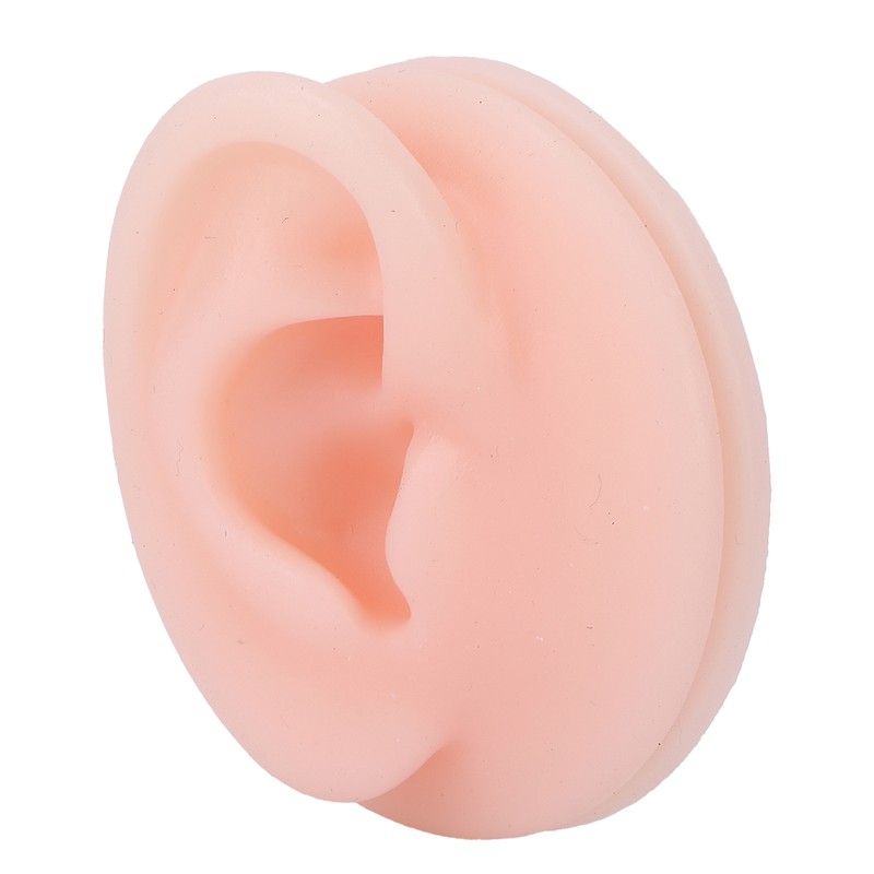 Professional Soft Silicone Ear Model Fake Ear Display Sample Ear