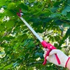 Prunrt Tree Trimmer, 2 Foot Pole Pruner, Long Reach Pruning