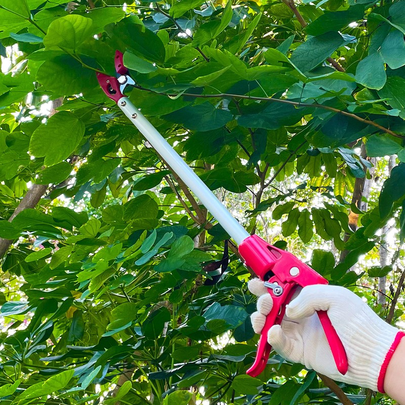 Prunrt Tree Trimmer, 2 Foot Pole Pruner, Long Reach Pruning