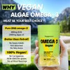 Vegan Omega-3 DHA Supplements - Premium Fish Oil Alternative from