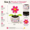 Solar Dancing Flower for Car & Desk Décor – Battery-Free