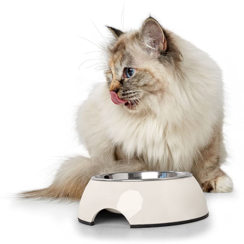 Hunter Melamine Bowl for Dogs and Cats with Removable Stainless